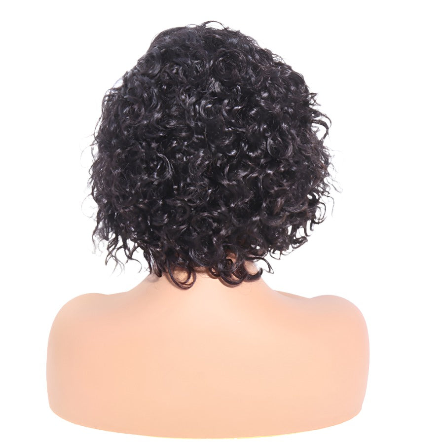 Pixie Cut Lace Wig Preplucked Short Human Hair Wigs Curly 13x4 Lace Glueless Wigs